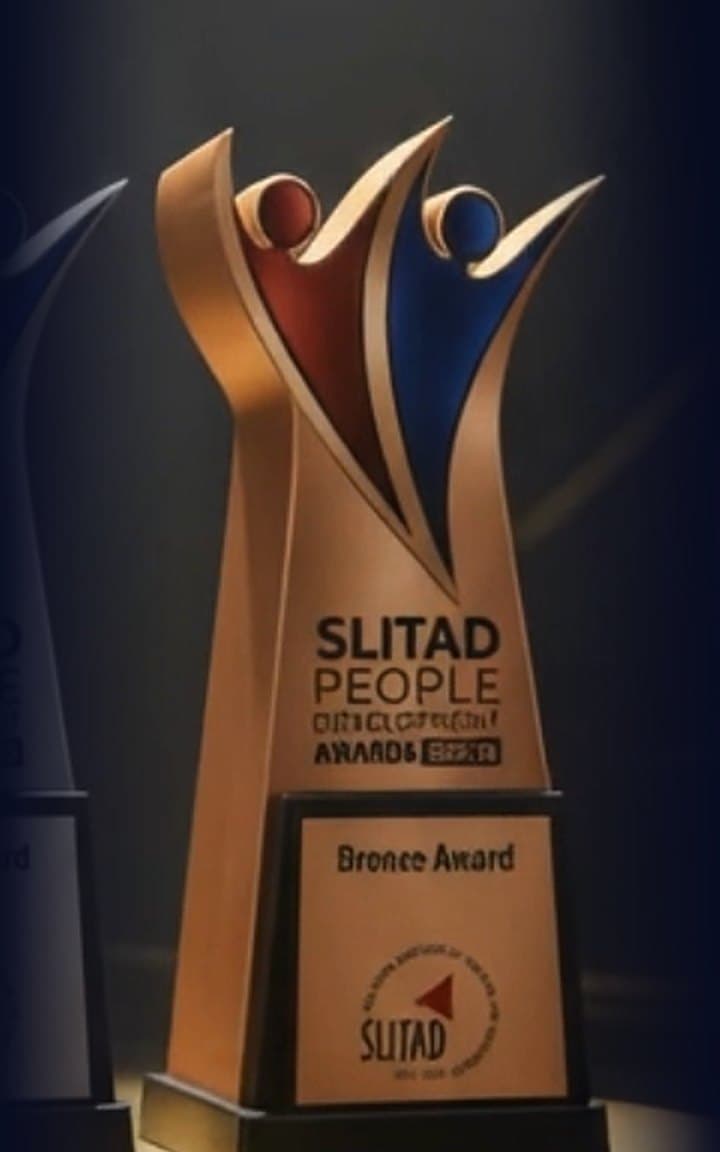 The Bronze award trophy